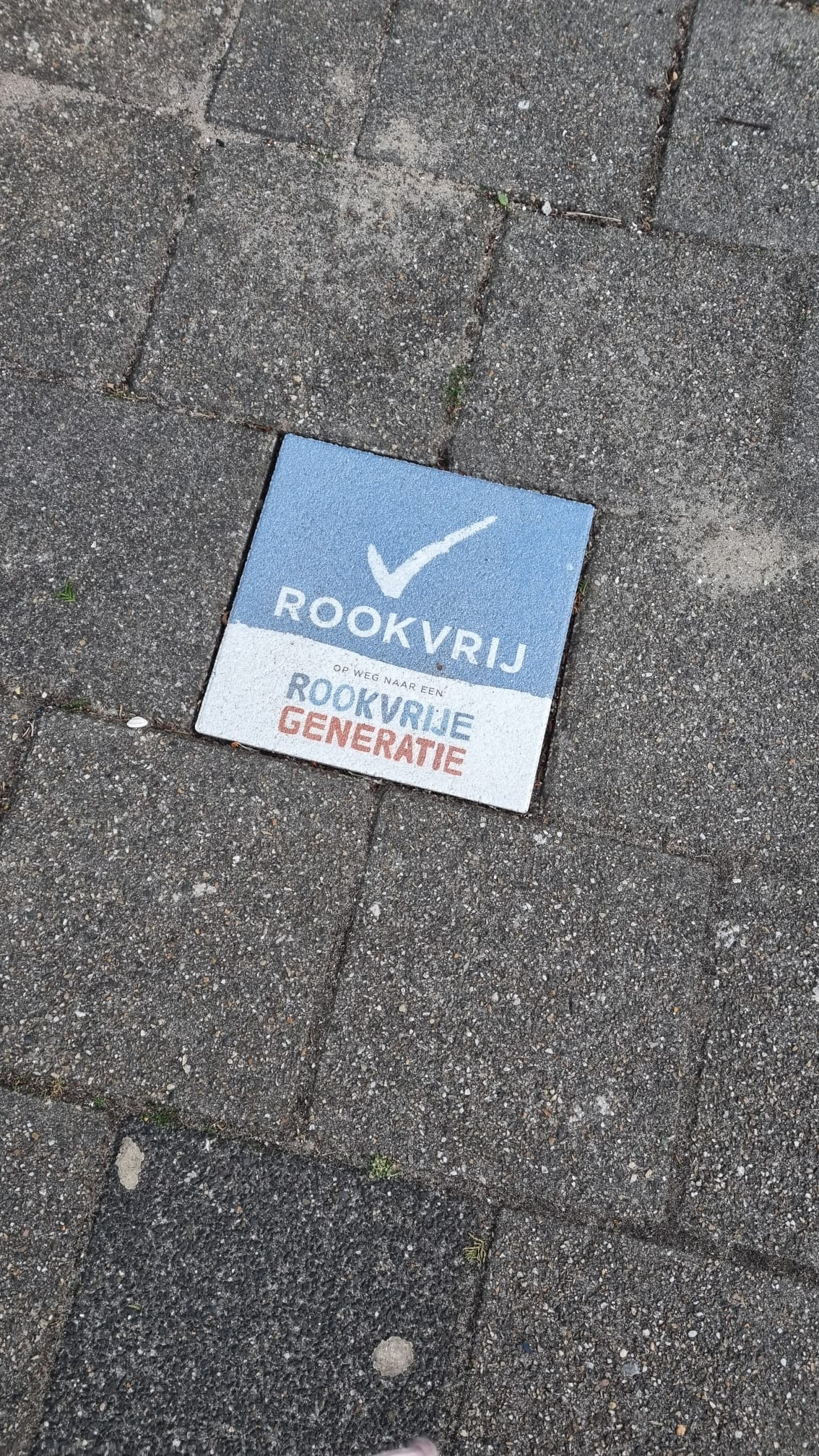 Rookvrije generatie